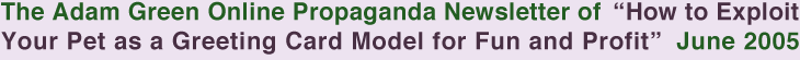 The Adam Green Online Propaganda Newsletter